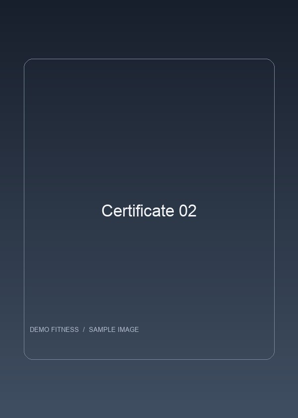 Certificate 02