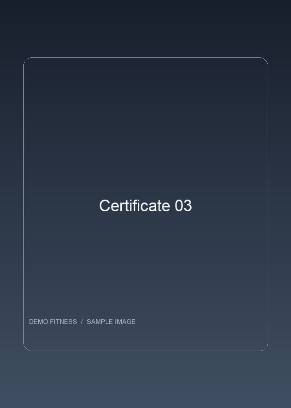 Certificate 03