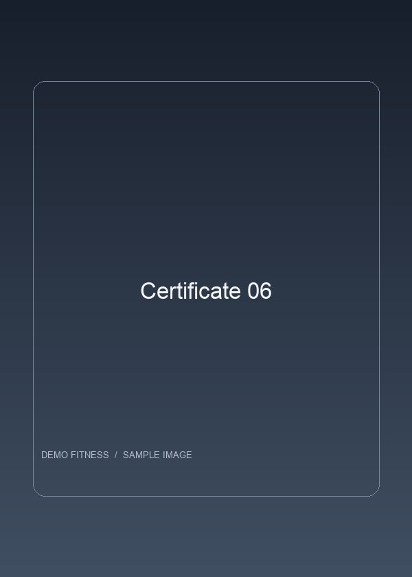 Certificate 06